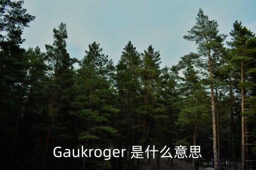 Gaukroger 是什么意思