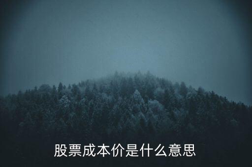 股票成本價是什么意思