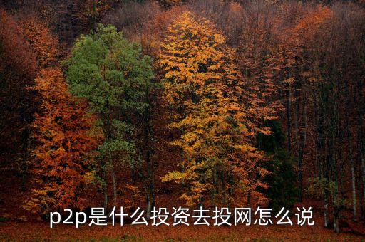 投資平臺是什么，P2P網(wǎng)絡(luò)投資平臺是什么