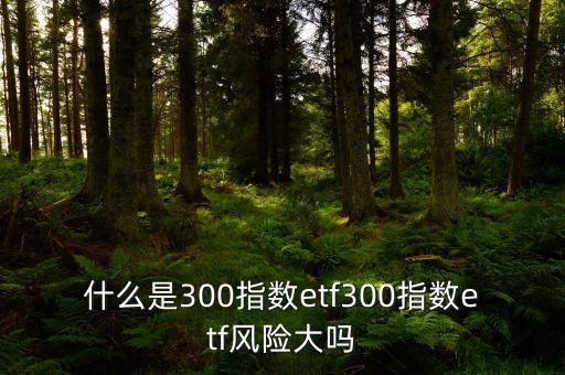 什么是300指數(shù)etf300指數(shù)etf風險大嗎