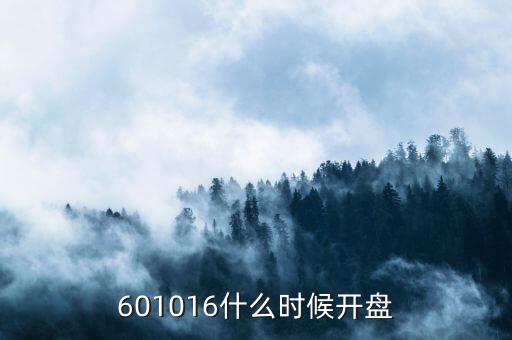 601016什么時候開盤