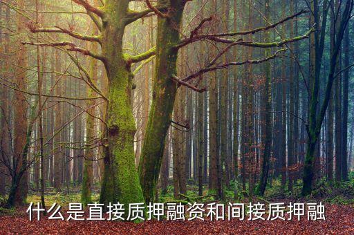 什么是間接融資擔(dān)保，什么是融資擔(dān)保