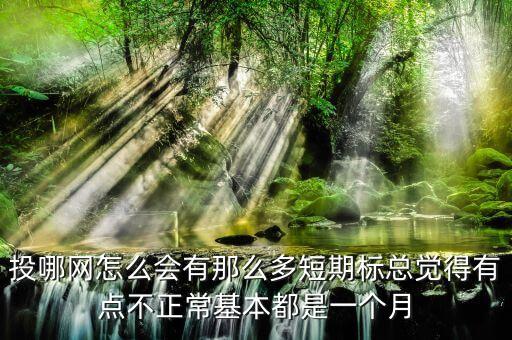 投哪網(wǎng)一個(gè)月的標(biāo)什么時(shí)候發(fā)，投哪網(wǎng)月多多怎么退出 多久到賬