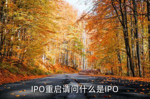 啟動(dòng)ipo什么意思，IPO重啟請問什么是IPO