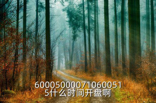 600050000710600515什么時間開盤啊