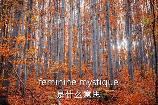 feminine mystique是什么意思