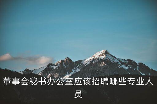 董事會(huì)秘書辦公室應(yīng)該招聘哪些專業(yè)人員