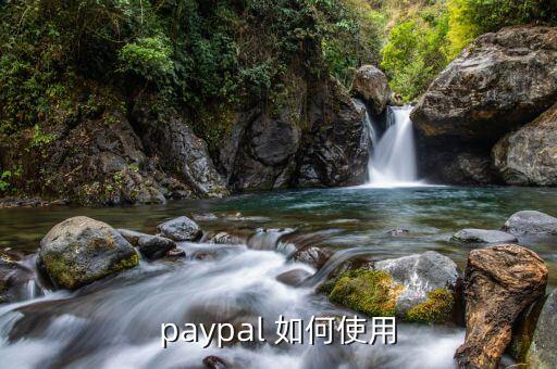 paypal提供什么服務(wù)，注冊使用Paypal是否一定要使用信用卡