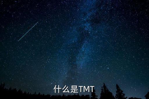 什么是泛tmt，TMT 什么意思