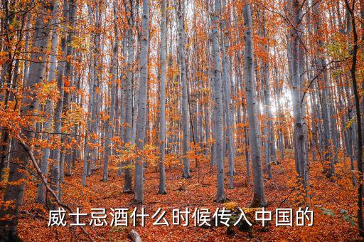 威士忌什么時候進(jìn)入中國的，洋酒是哪年進(jìn)入中國的