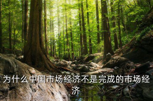 為什么中國市場經(jīng)濟不是完成的市場經(jīng)濟