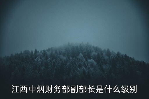 江西中煙財務部副部長是什么級別