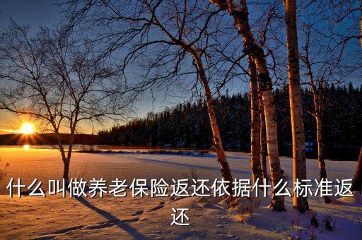 返養(yǎng)老保險(xiǎn)是什么意思，養(yǎng)老保險(xiǎn)返執(zhí)金是什么意思