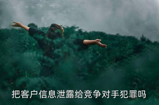 把客戶信息泄露給競(jìng)爭(zhēng)對(duì)手犯罪嗎