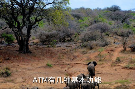 atm機都有什么功能，ATM有幾種基本功能