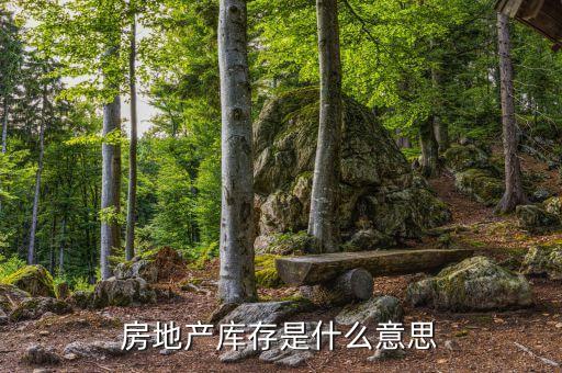 要化解房地產(chǎn)庫存是什么意思，房地產(chǎn)庫存是什么意思