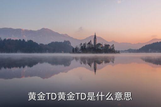 td交易什么意思，白銀TD是什么白銀TD怎么炒