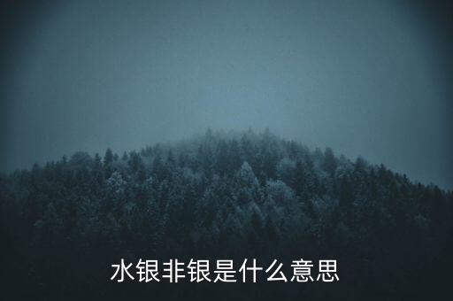 水銀非銀是什么意思