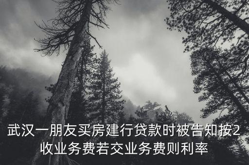 武漢一朋友買房建行貸款時(shí)被告知按2收業(yè)務(wù)費(fèi)若交業(yè)務(wù)費(fèi)則利率