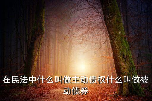 在民法中什么叫做主動(dòng)債權(quán)什么叫做被動(dòng)債券