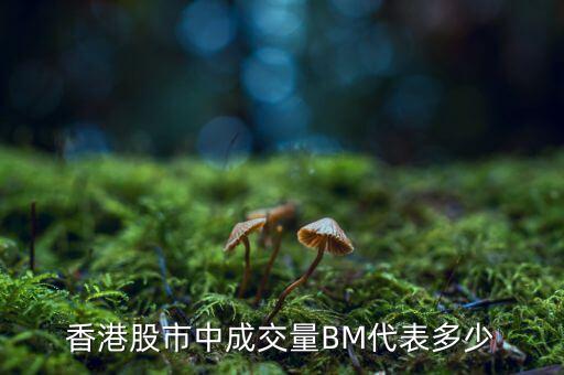 香港股市中成交量BM代表多少