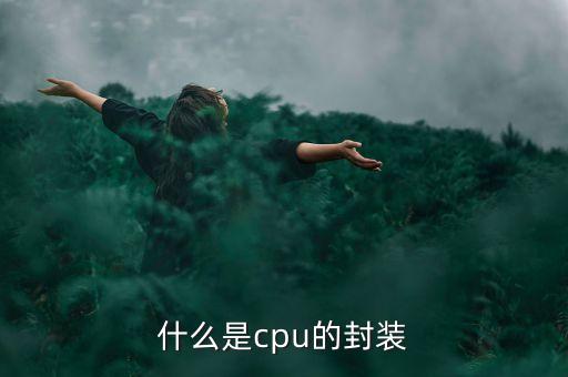 什么是cpu的封裝