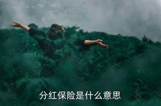 分紅保險是什么意思