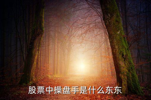 股票中操盤手是什么東東