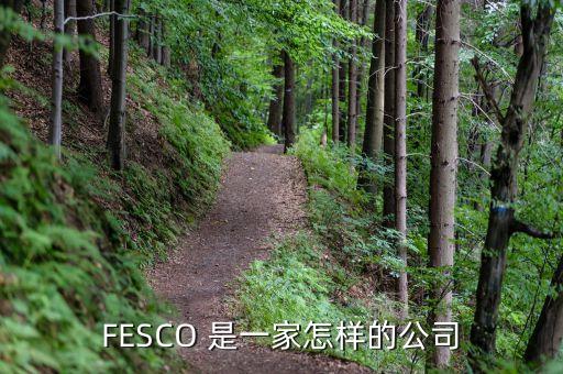 FESCO 是一家怎樣的公司