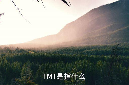 TMT是指什么