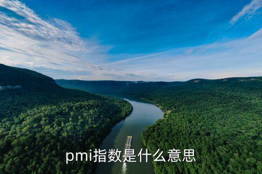 pmi指數(shù)是什么意思