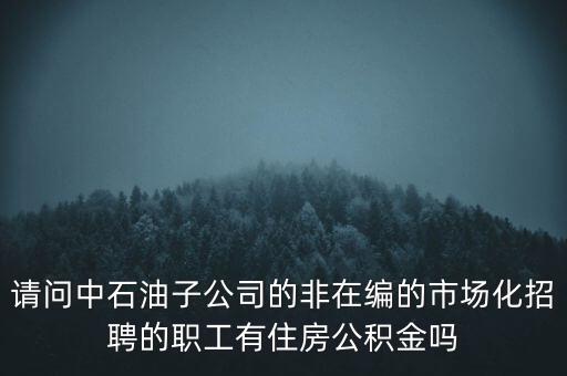 請問中石油子公司的非在編的市場化招聘的職工有住房公積金嗎