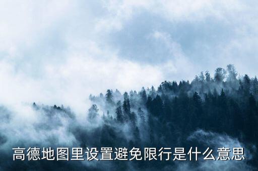 高德地圖里設(shè)置避免限行是什么意思