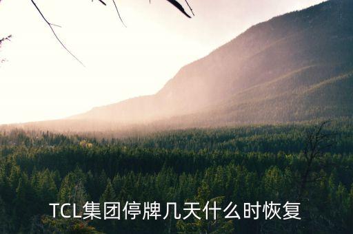 TCL集團停牌幾天什么時恢復(fù)