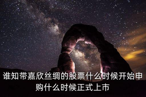 誰知帶嘉欣絲綢的股票什么時候開始申購什么時候正式上市