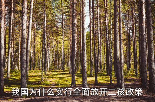 我國為什么實(shí)行全面放開二孩政策