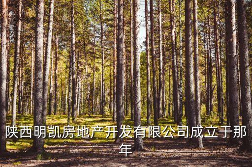 陜西明凱房地產開發(fā)有限公司成立于那年