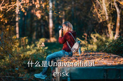 什么是Undiversifiablerisk