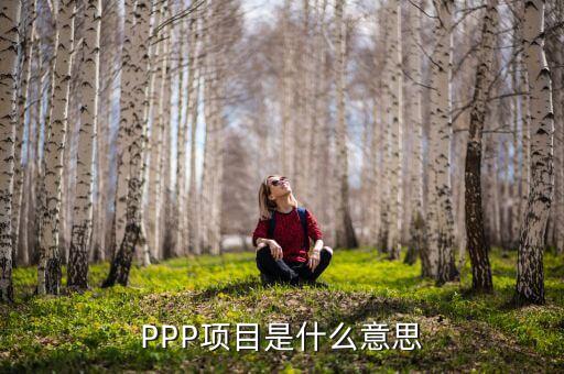 PPP項(xiàng)目是什么意思