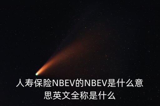 人壽保險(xiǎn)NBEV的NBEV是什么意思英文全稱是什么