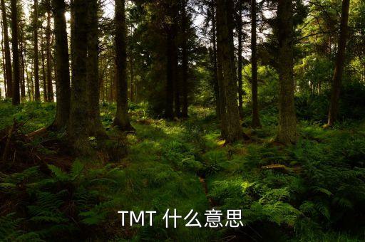 TMT 什么意思