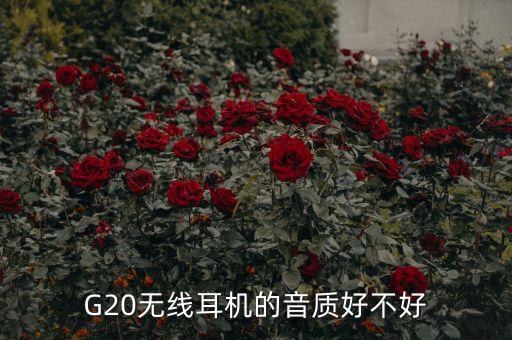 g20有什么用，G20金融峰會(huì)的重點(diǎn)是什么