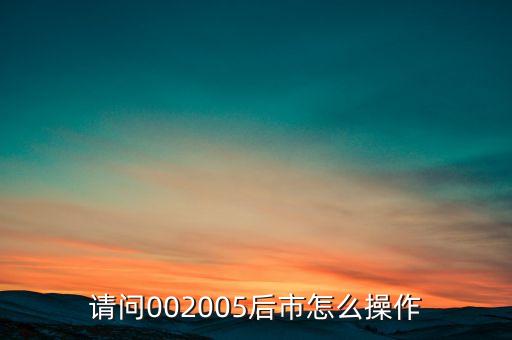 請問002005后市怎么操作