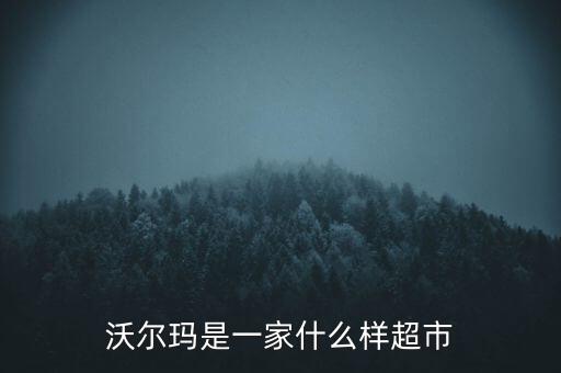 沃爾瑪是一家什么樣超市