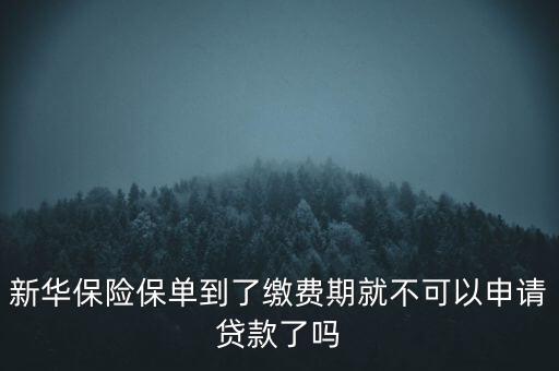 新華保險(xiǎn)保單到了繳費(fèi)期就不可以申請(qǐng)貸款了嗎