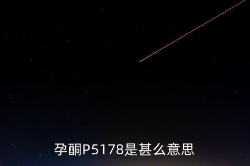 孕酮P5178是甚么意思