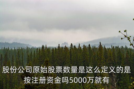 股份公司原始股票數(shù)量是這么定義的是按注冊資金嗎5000萬就有