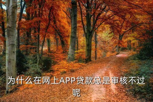 為什么我每個app手機(jī)貸款都沒拒，為什么我申請aPP貸款都被拒