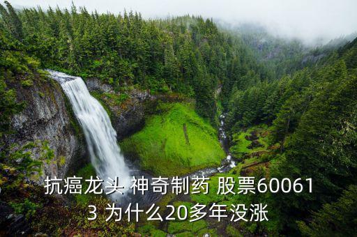 抗癌龍頭 神奇制藥 股票600613 為什么20多年沒漲