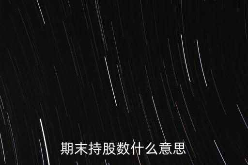 期末持股數(shù)什么意思